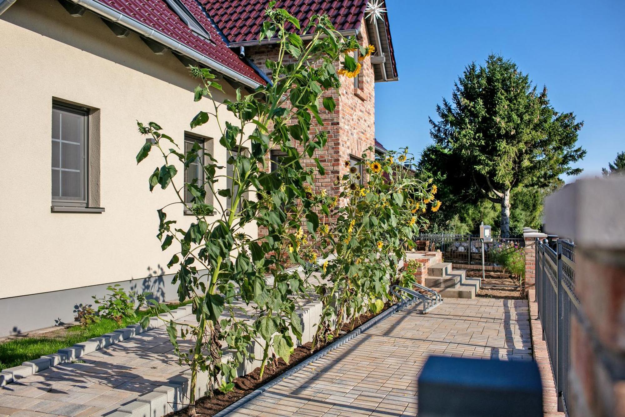 Ferienwohnungen Stolzenhagener 7 Lunow-Stolzenhagen Exterior foto